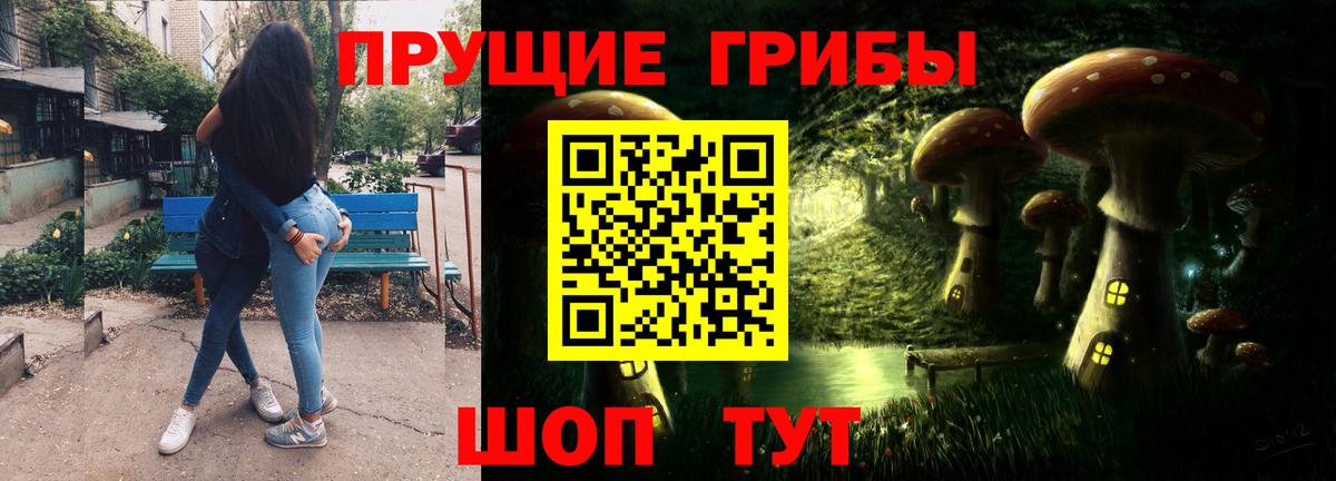 Верхняя Пышма  Псилоцибиновые грибы GOLDEN TEACHER  где можно купить   Вход с VPN 