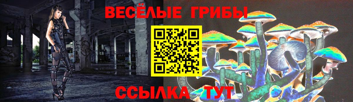 Псилоцибиновые грибы ЛСД Верхняя Пышма